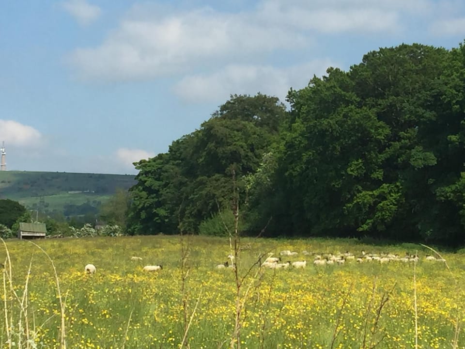 Shellow Lane Lodges Lodge in Staffordshire Moorlands District