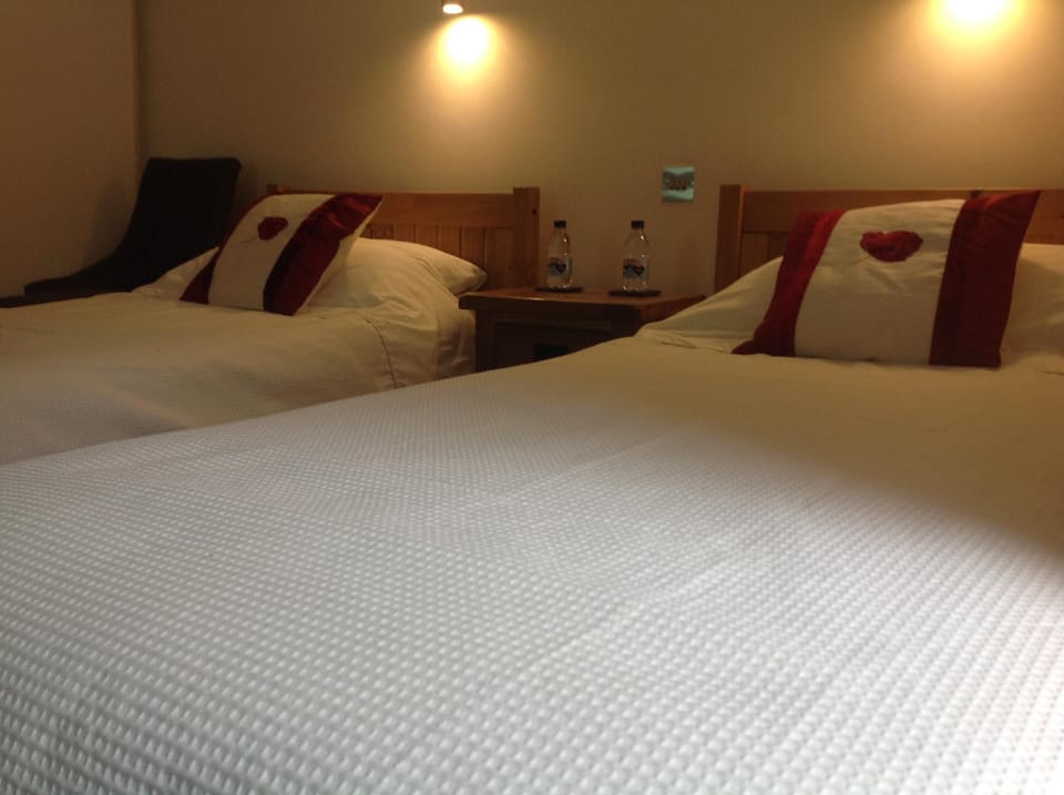 Afon Duad Inn Inn in Wales