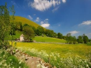 Ye Olde Cheshire Cheese Inn Inn in Staffordshire Moorlands District