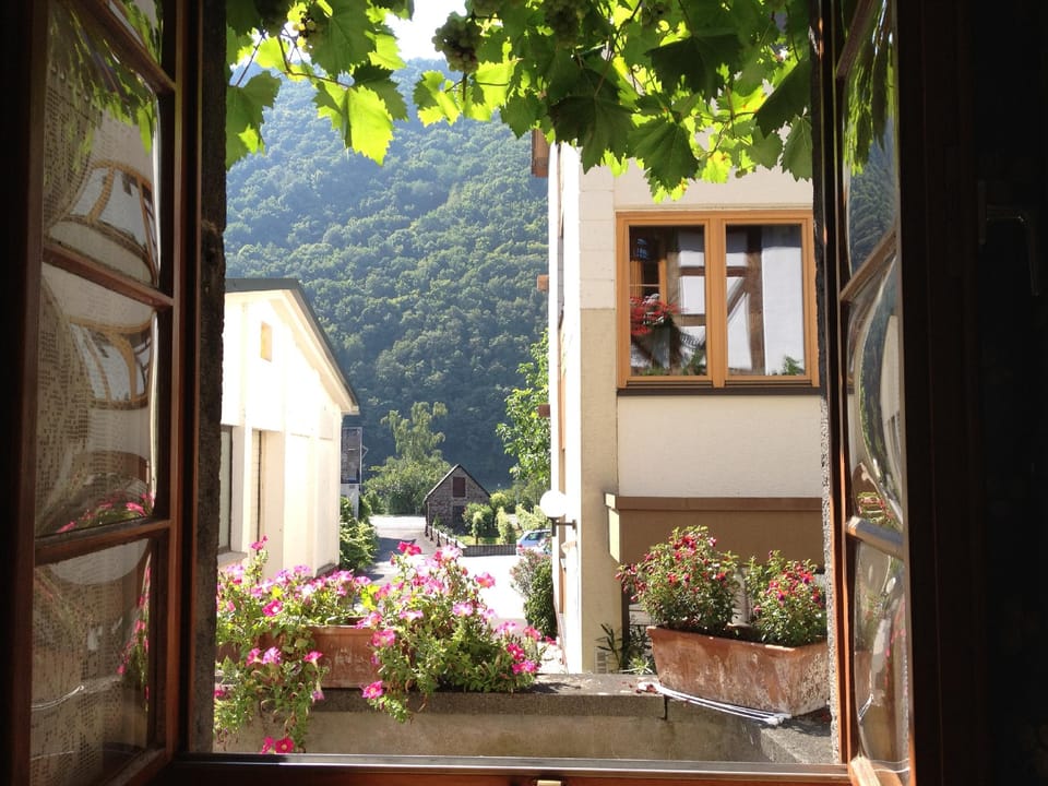 Hotel Weingut Dehren Hotel in Cochem-Zell