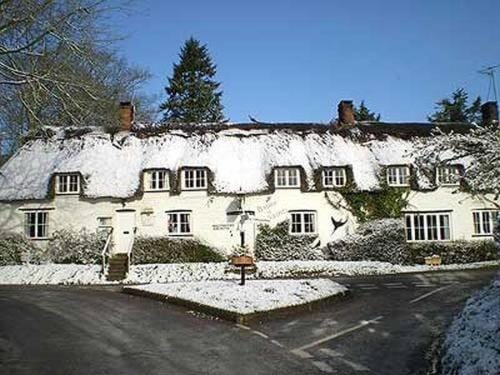 The Brace of Pheasants Inn in North Dorset District