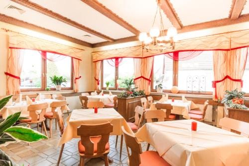 Hotel- Restaurant Zum Hirsch Hotel in Hesse