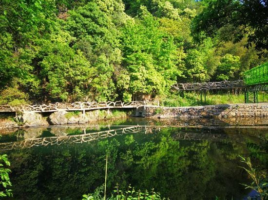 Jing Green Forest Valley Cabin Homestay Hotel in Zhejiang