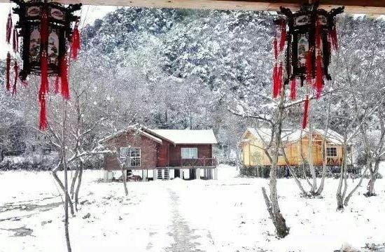 Jing Green Forest Valley Cabin Homestay Hotel in Zhejiang