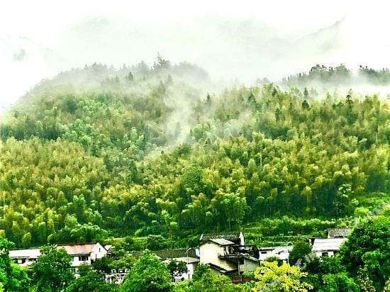 Yunjian Hostel Hotel in Zhejiang