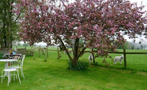 Yew Tree Farm Hotel in Staffordshire Moorlands District