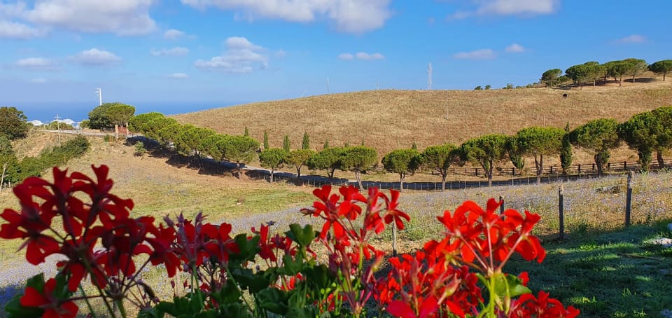 Hotel Tenuta dell'Argento Resort Resort in Lazio
