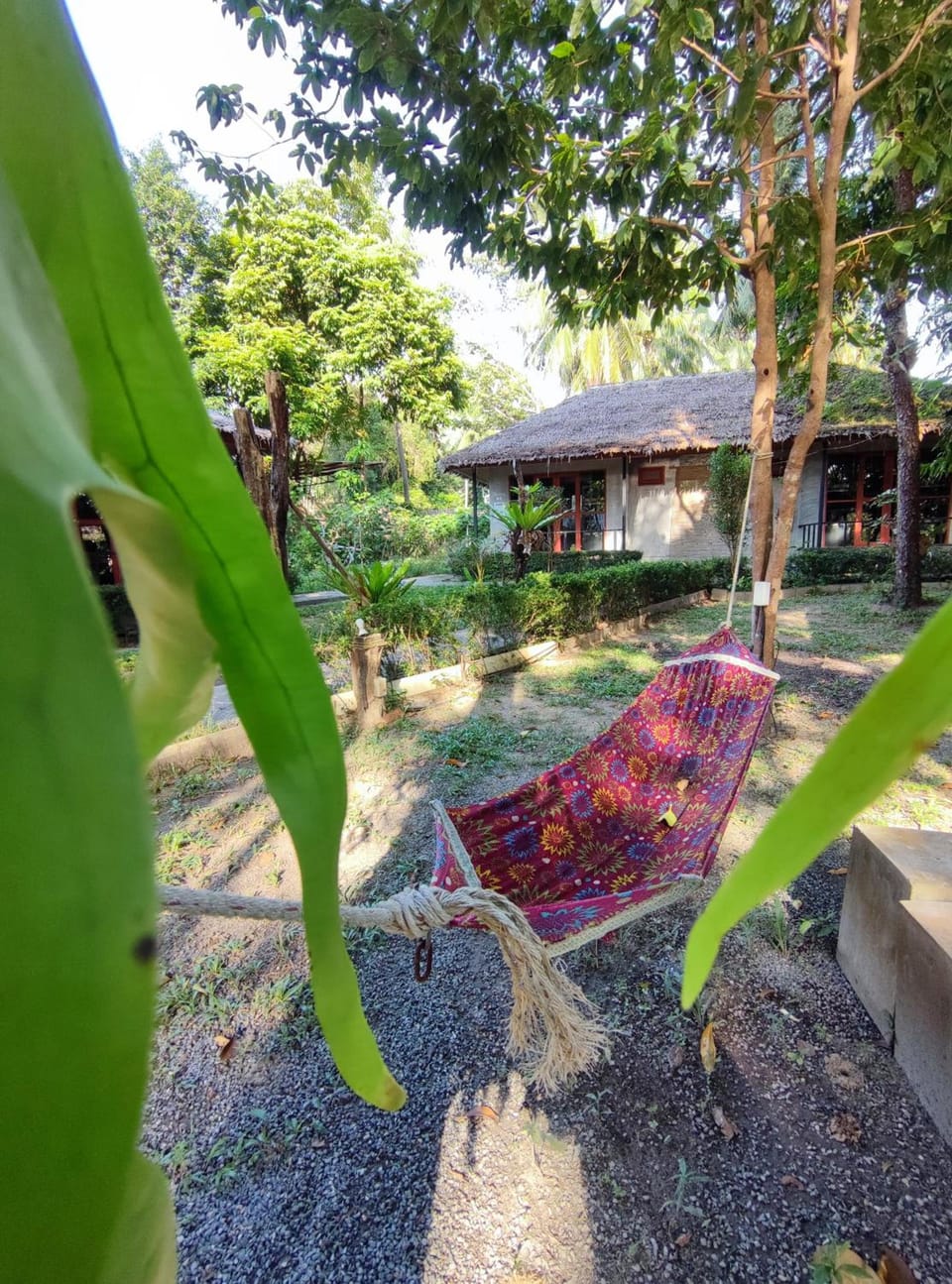 Blanco Hostel Lanta 18 to 35 Hostel in Sala Dan