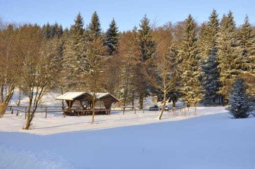 Hotel Berggarten Hotel in Thuringia, Germany