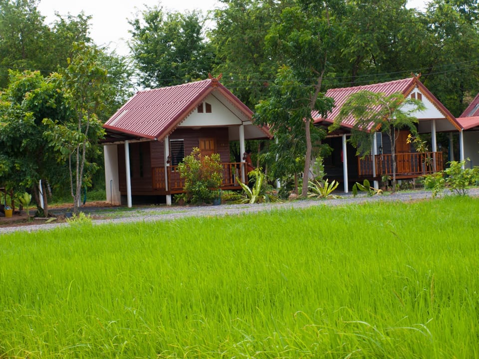 Surrounding environment