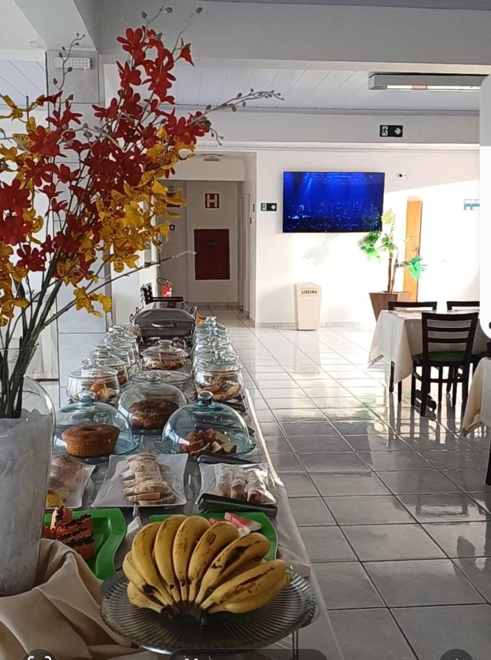 Hotel Estrela Mares Hotel in State of Bahia