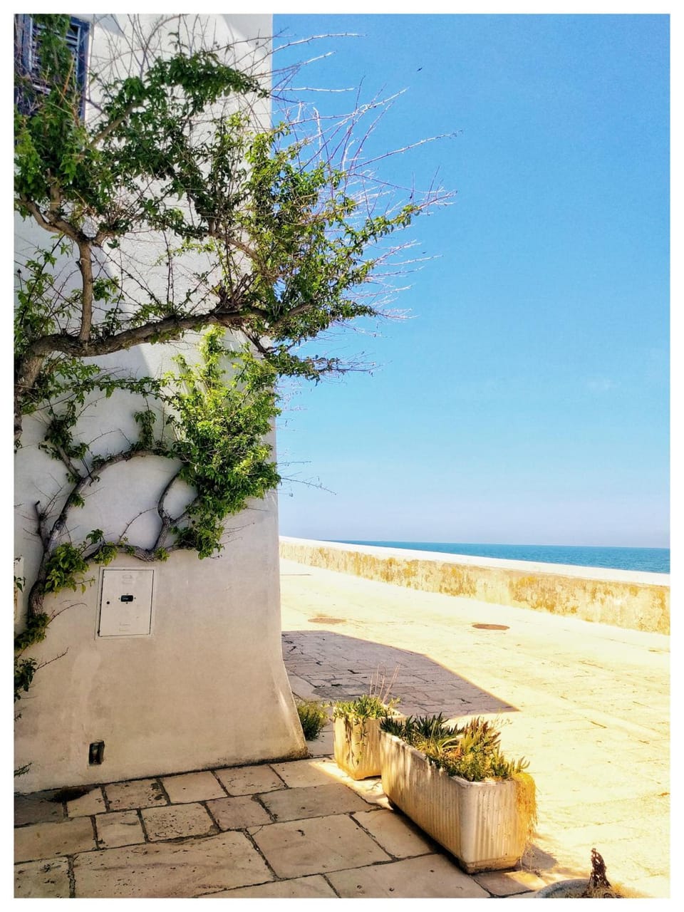 Pensione Al Pescatore Hotel in Termoli