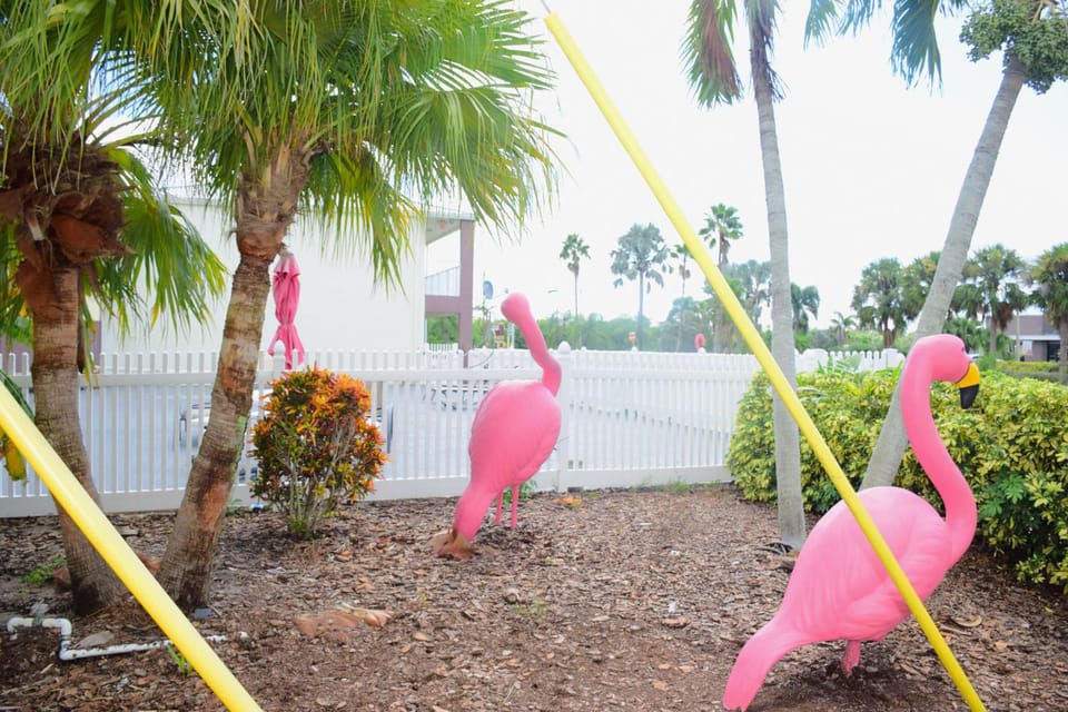 Flamingo Motel Motel in Florida