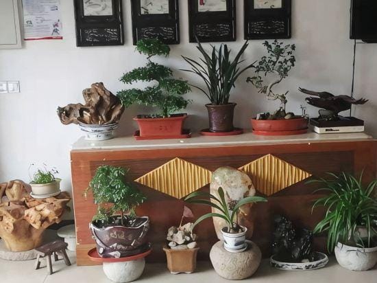 Chenhua Inn Hotel in Suzhou