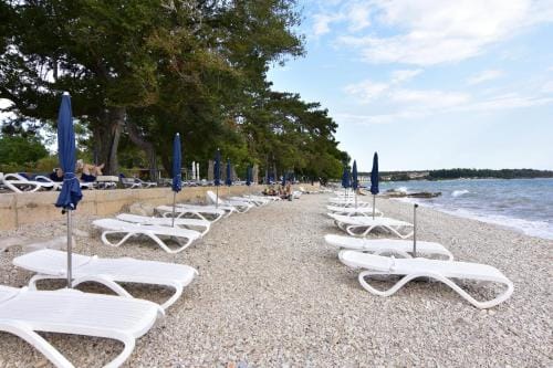 Apartments and rooms with parking space Zambratija, Umag - 11875 Hotel in Istria County