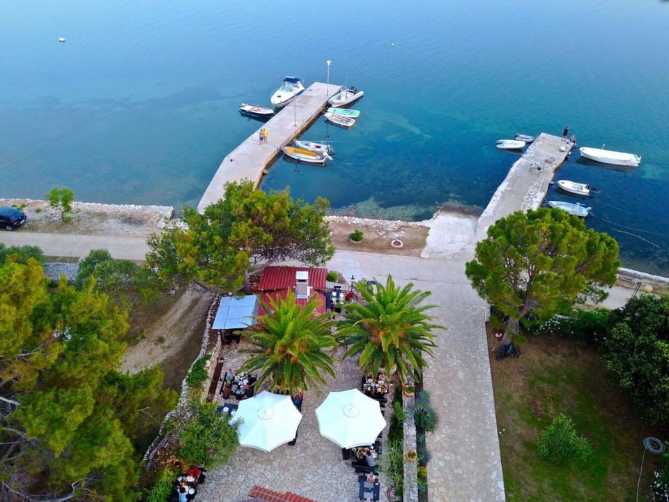 Gorgonia Suites in Verunic Hotel in Zadar County