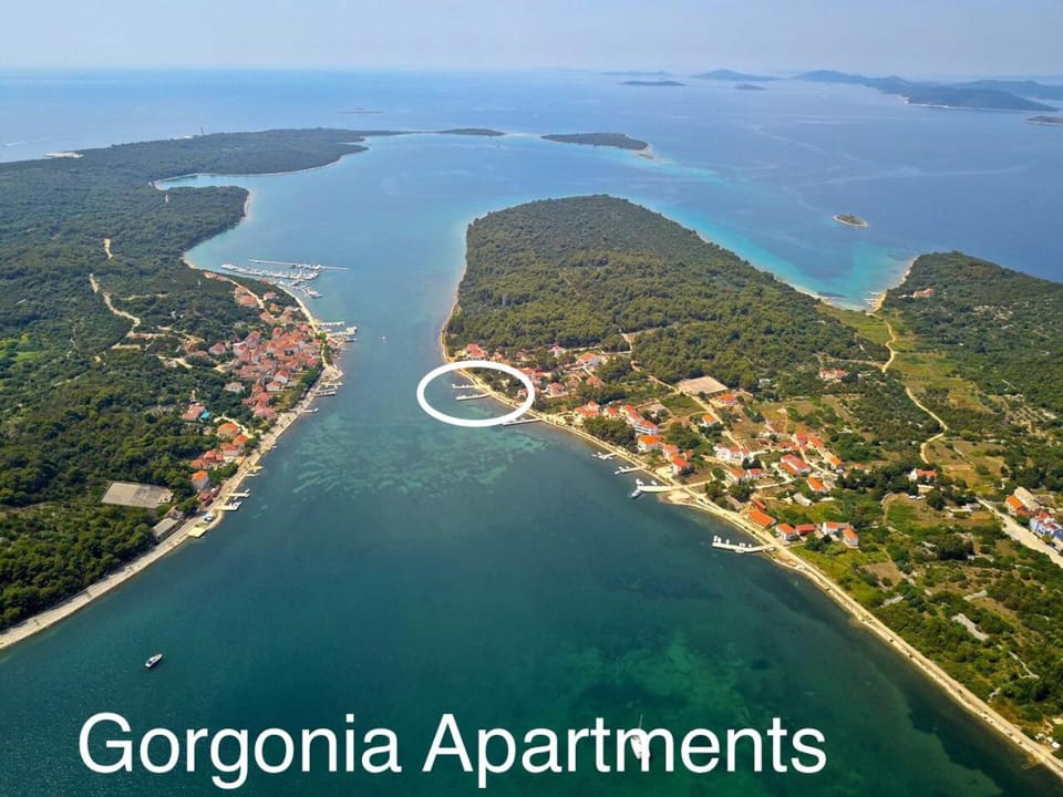 Gorgonia Suites in Verunic Hotel in Zadar County