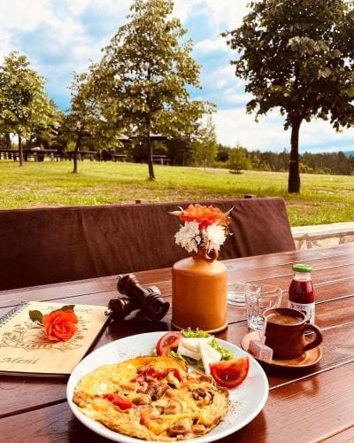 ETNO SELO VRANESA Zlatar Hotel in Zlatibor District, Serbia