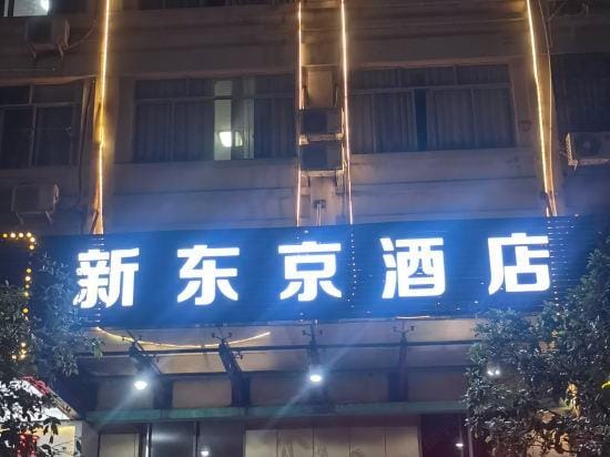 Shinjuku Holiday Inn Tokyo Hotel in Zhejiang