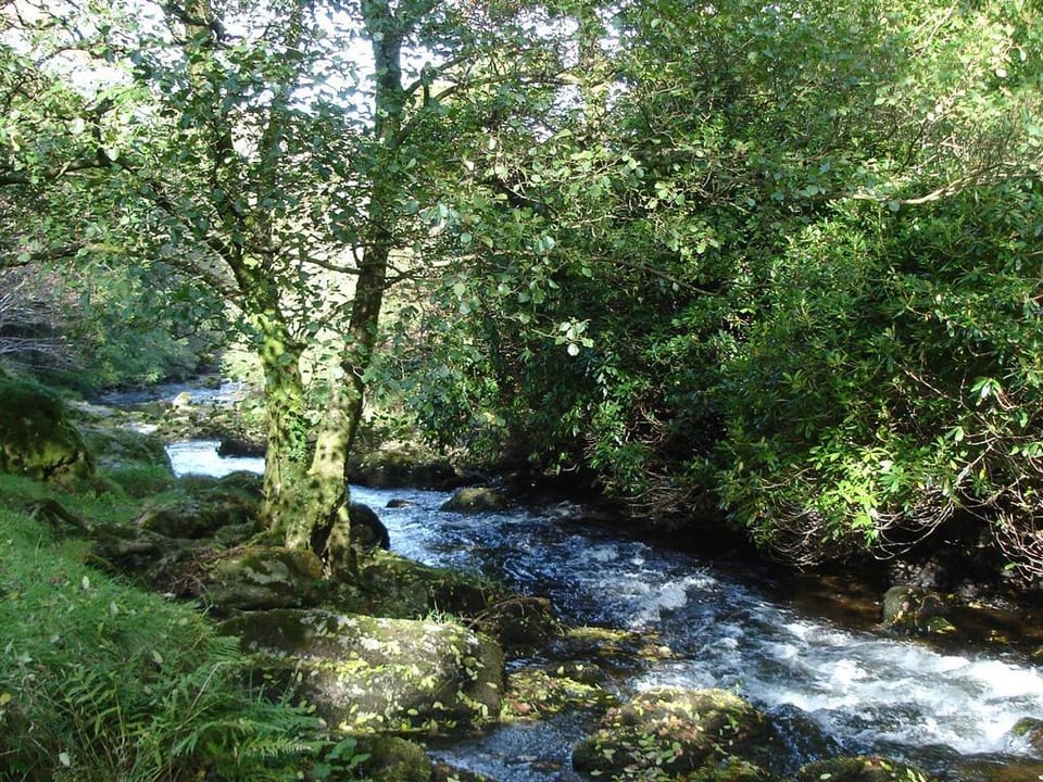 Lorna Doone House Hotel in West Somerset District