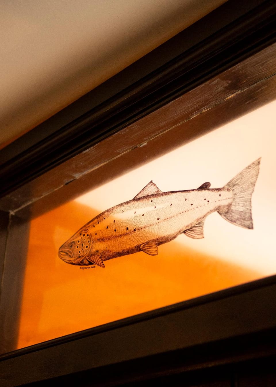 The Leaping Salmon Inn in West Devon District