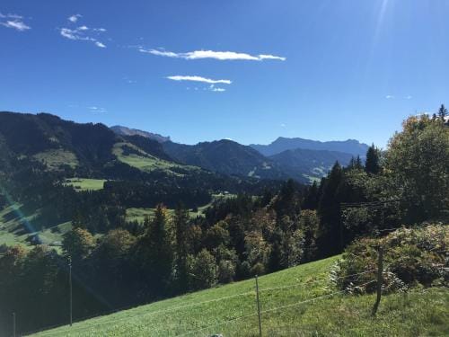 Hotel Lowen Hotel in Canton of Lucerne