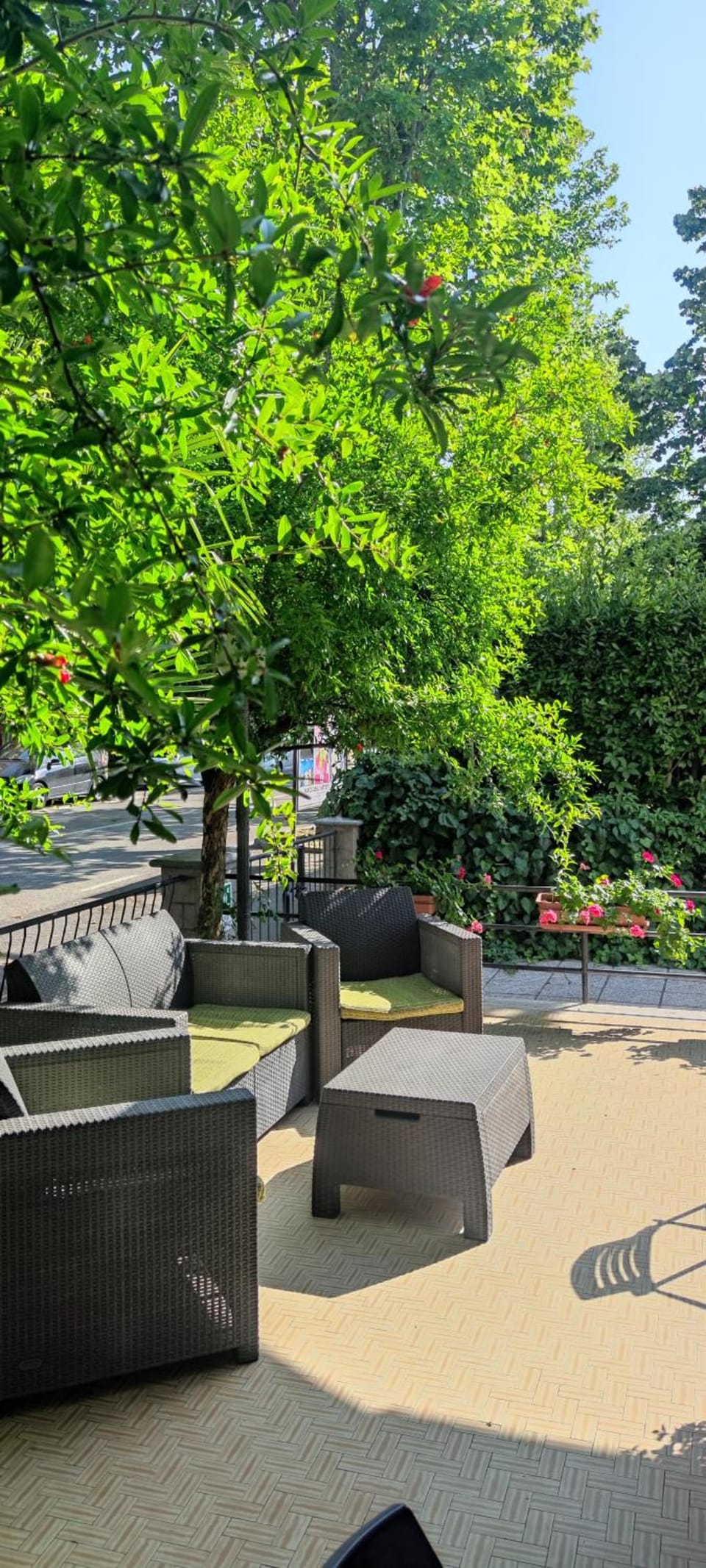 Garden