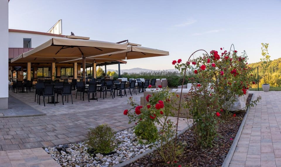 Hotel Dolenjc Hotel in Slovenia