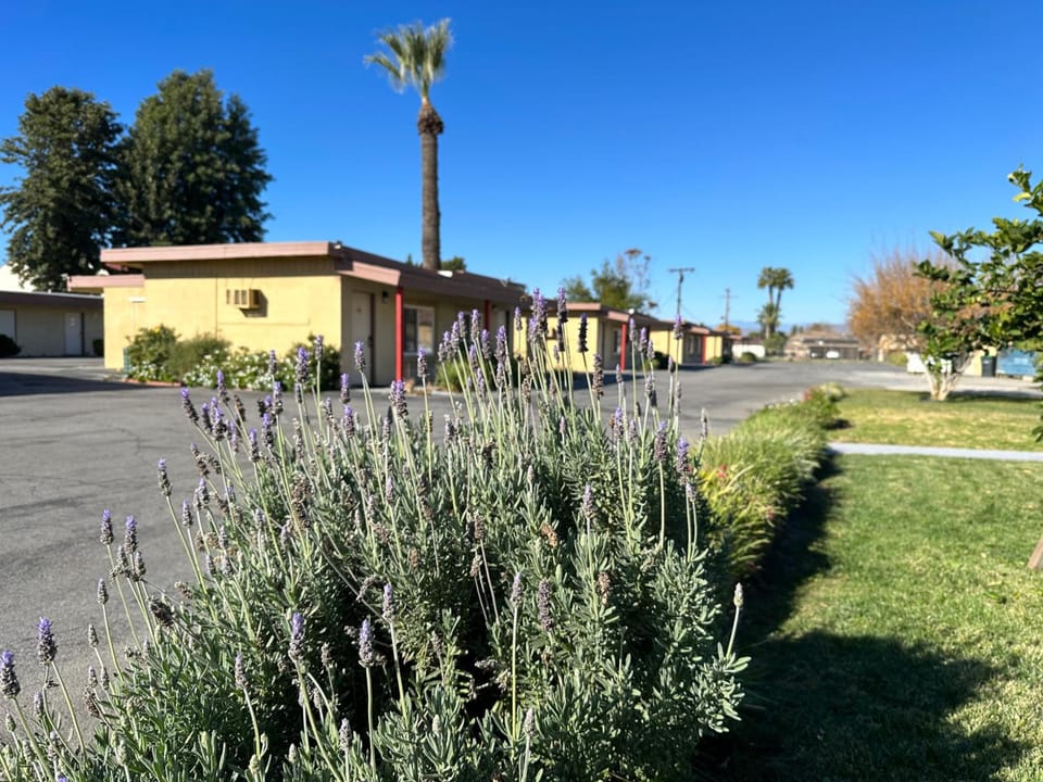 Royal Inn and Suites Motel in Hemet