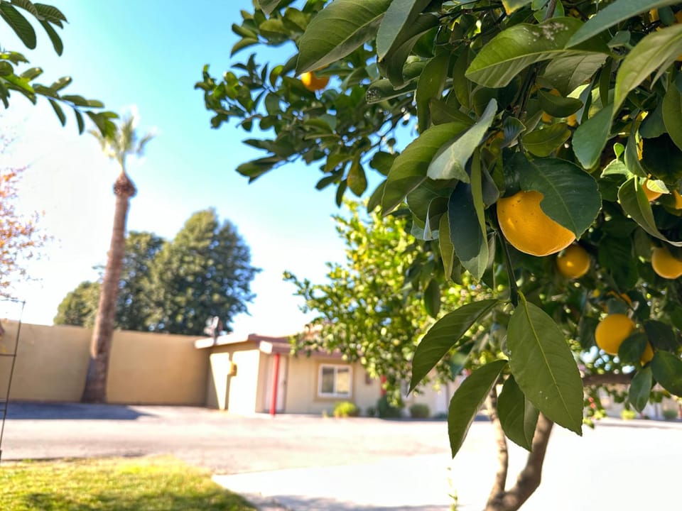 Royal Inn and Suites Motel in Hemet