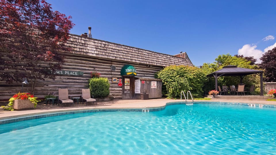 Swimming pool [outdoor]