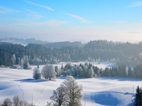 Pension Mittelallgau Inn in Tyrol