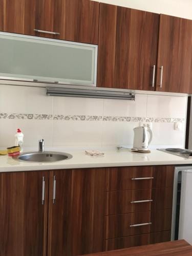 Apartments and Rooms Villa Gaga 3 Hotel in Budva Municipality