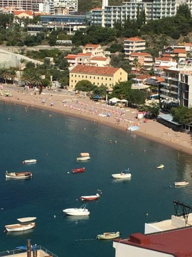 Apartments and Rooms Villa Gaga 3 Hotel in Budva Municipality