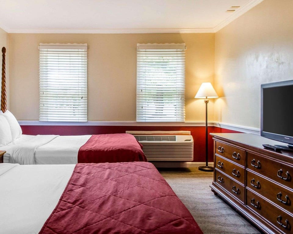 Suite room