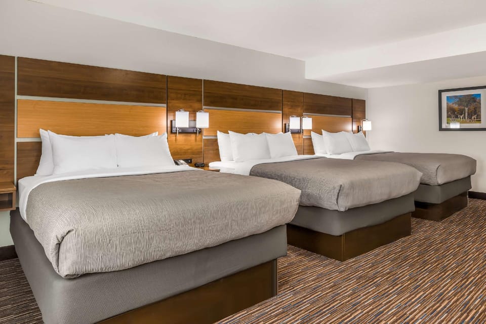 Suite room