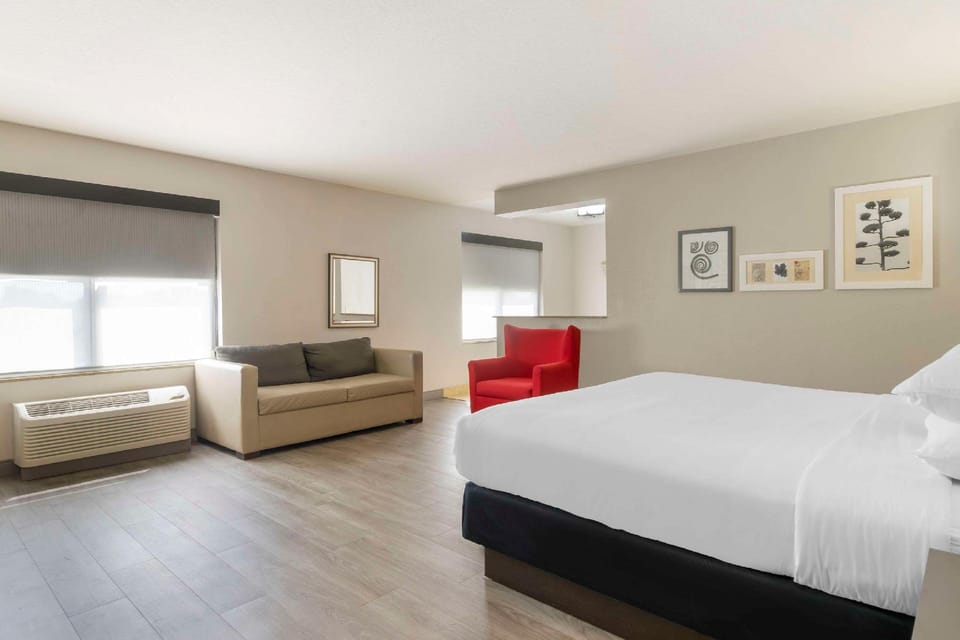 Suite room
