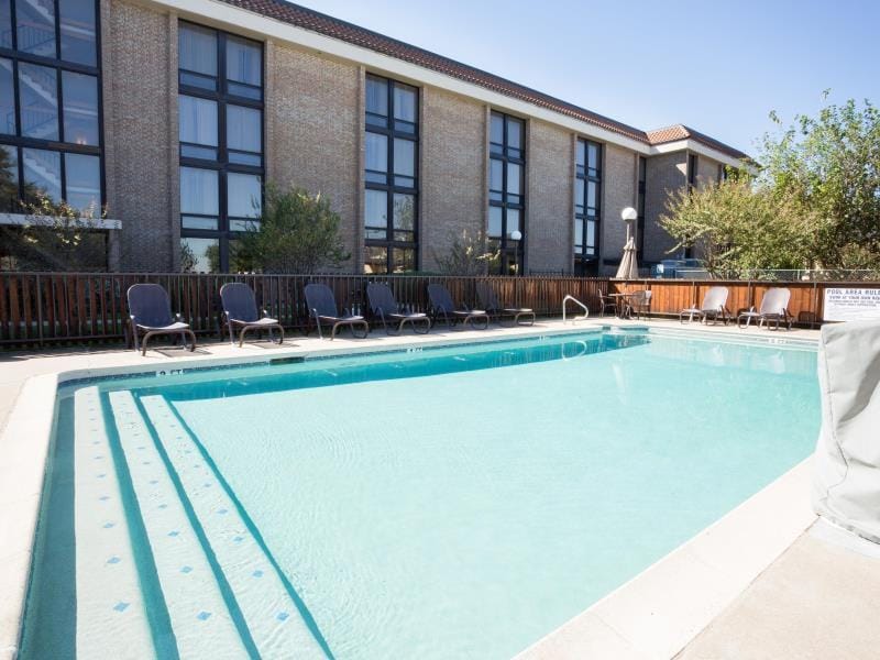 Swimming pool [outdoor]