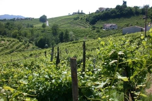 b&b alla pergola Hotel in Valdobbiadene