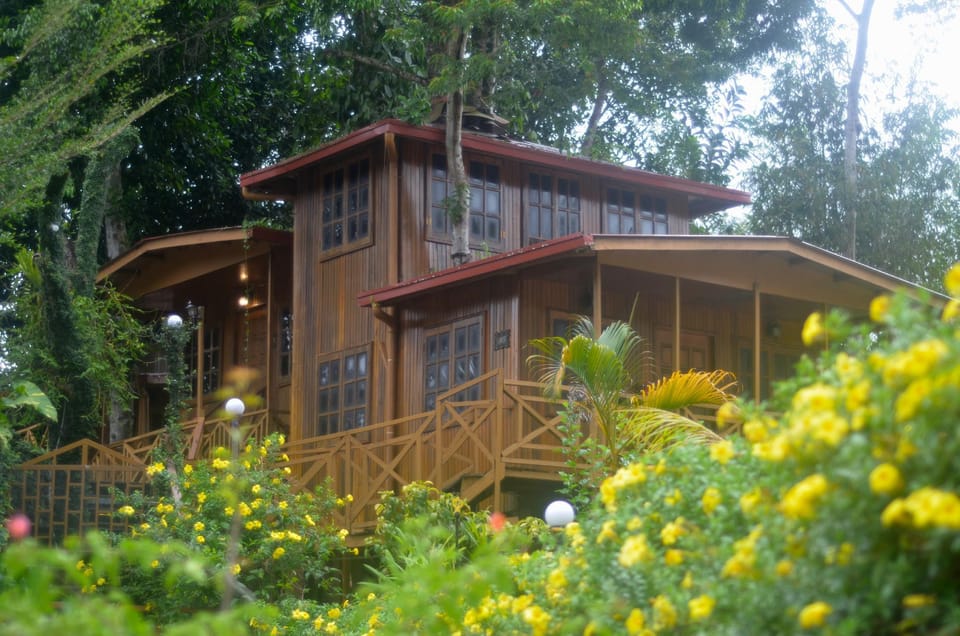 Exterior view