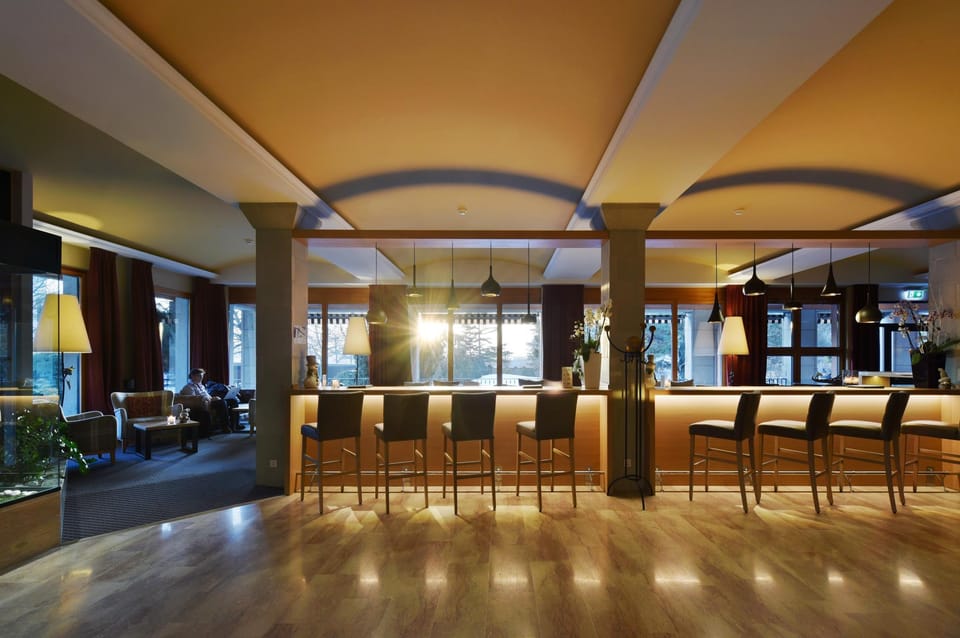 Hotel des Vignes Hotel in Sion