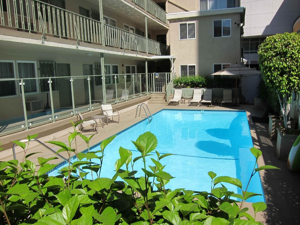 Swimming pool [outdoor]