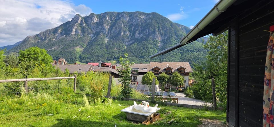 Flackl - Wirt Hotel in Austria