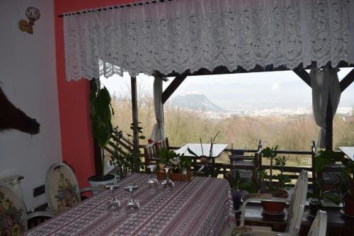 Hanu lu Mos Opinca Hotel in Serbia