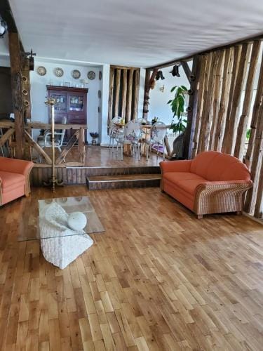 Hanu lu Mos Opinca Hotel in Serbia