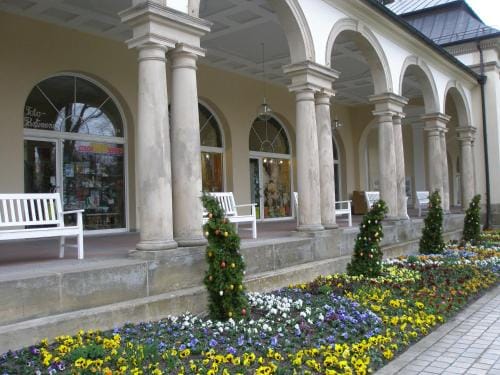 Hotel Promenade Hotel in Thuringia, Germany