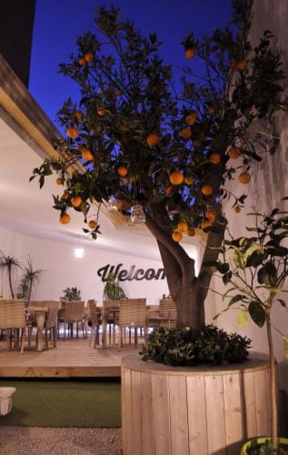 V&V Suite & Breakfast Hotel in Pompeii