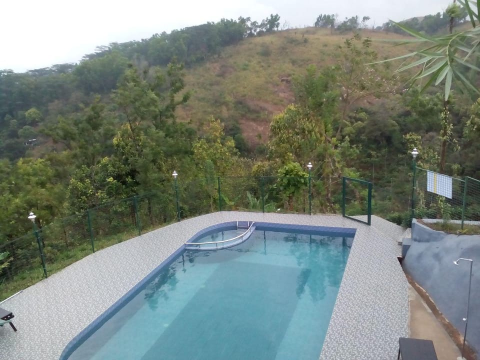 Swimming pool [outdoor]