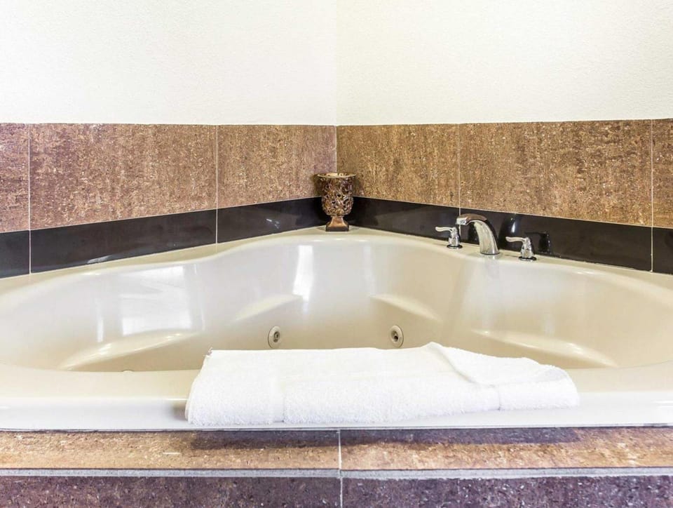 Quality Inn & Suites Coliseum Hotel in Greensboro