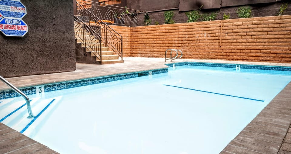 Swimming pool [outdoor]